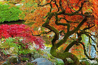 《犯罪现场清理员》序章免费发布 清理现场模拟器