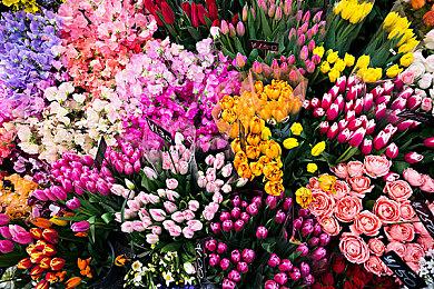 《Liminal Border Part II》Steam页面上线 支持简繁体中文